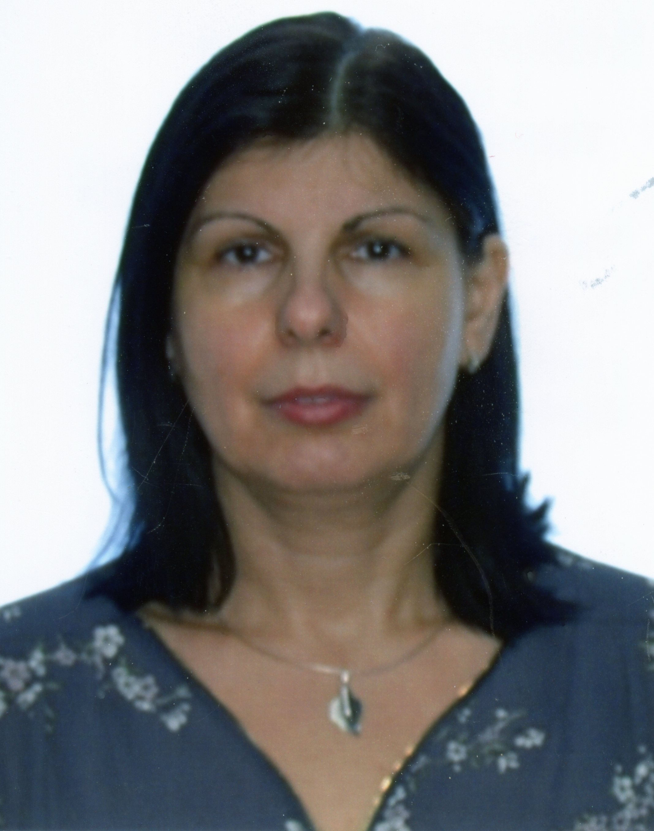 Bocicariu