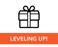 level