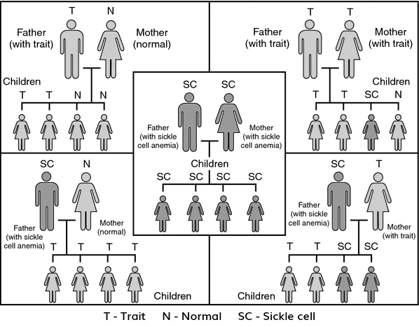 sicklecell